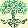 Avatar de arceceltic